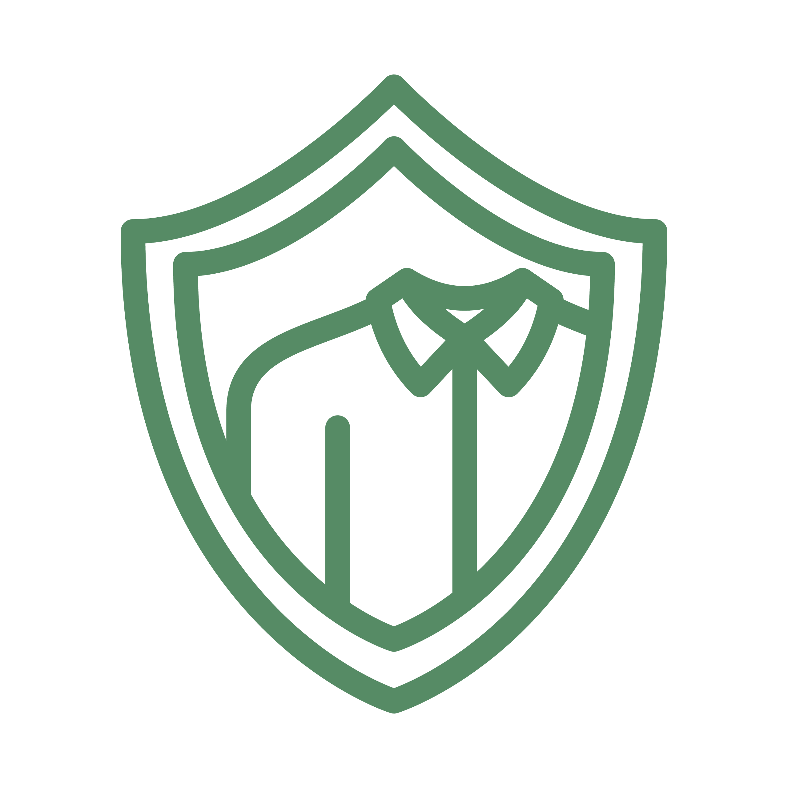 Green outline icon of a shirt inside of a shield for Rochelle Cleaner's dry cleaning and laundry services page.